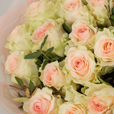 Букет из 25 кенийских светло-розовых роз N 5503 Букет из 25 кенийских светло-розовых роз N 5503