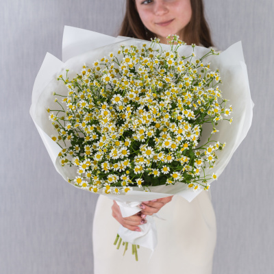 Круглый букет из ромашек танацетумов 36303