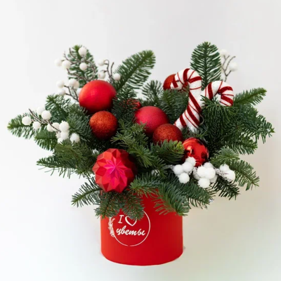 Композиция новогодняя из нобилиса "Праздник к вам приходит" N 90868