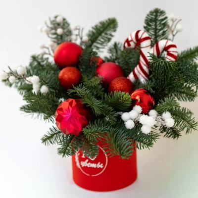 Композиция новогодняя из нобилиса "Праздник к вам приходит" N 90868